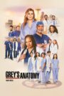 Grey’s Anatomy